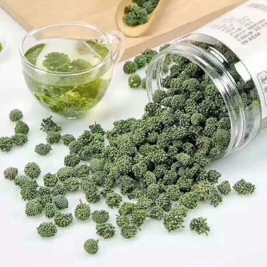三七花