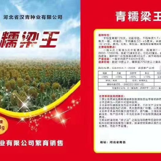 青縣高粱種子  青糯梁王
