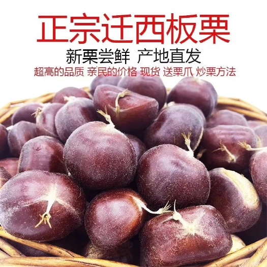 迁西板栗，好吃不贵，价格实惠
