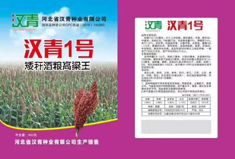 高粱种子  汉青1号