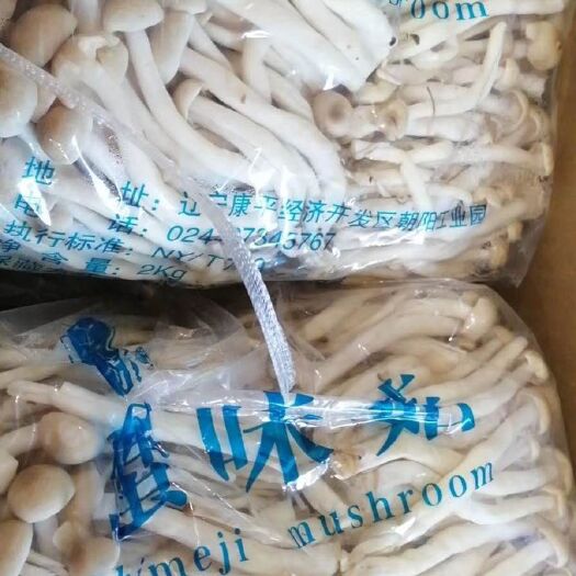 清丰县蟹味菇  30一件，一件16斤有需要的联系我。