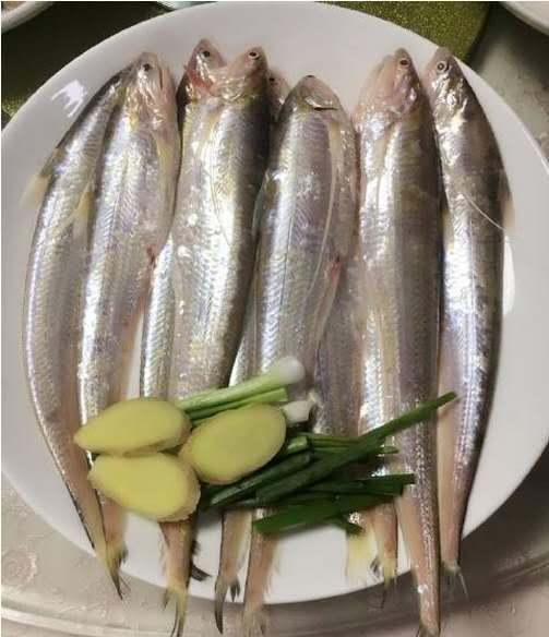 鲜活刀鱼每天现捕冰鲜顺丰包邮