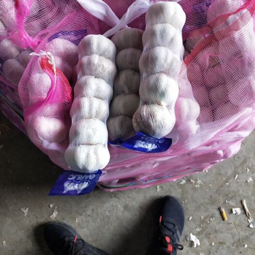 德阳 大蒜，独蒜