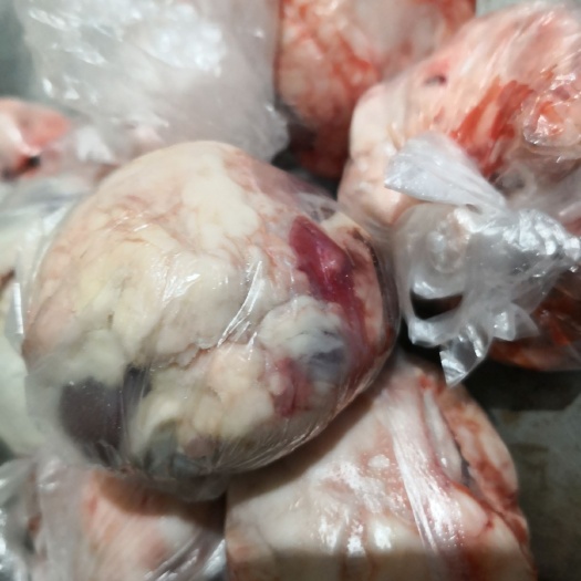 魏县 原油羊腰