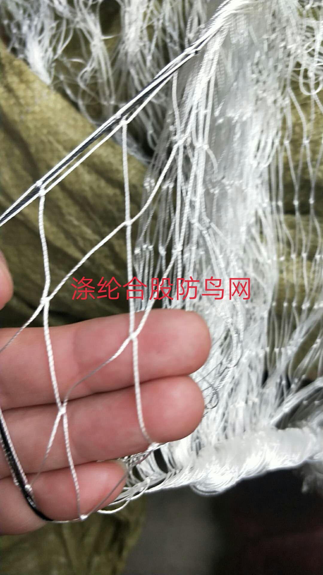涤纶合股材质防鸟网天网结实耐用拉力大抗风能力强