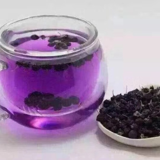 格尔木市黑枸杞 ～花青素之最。