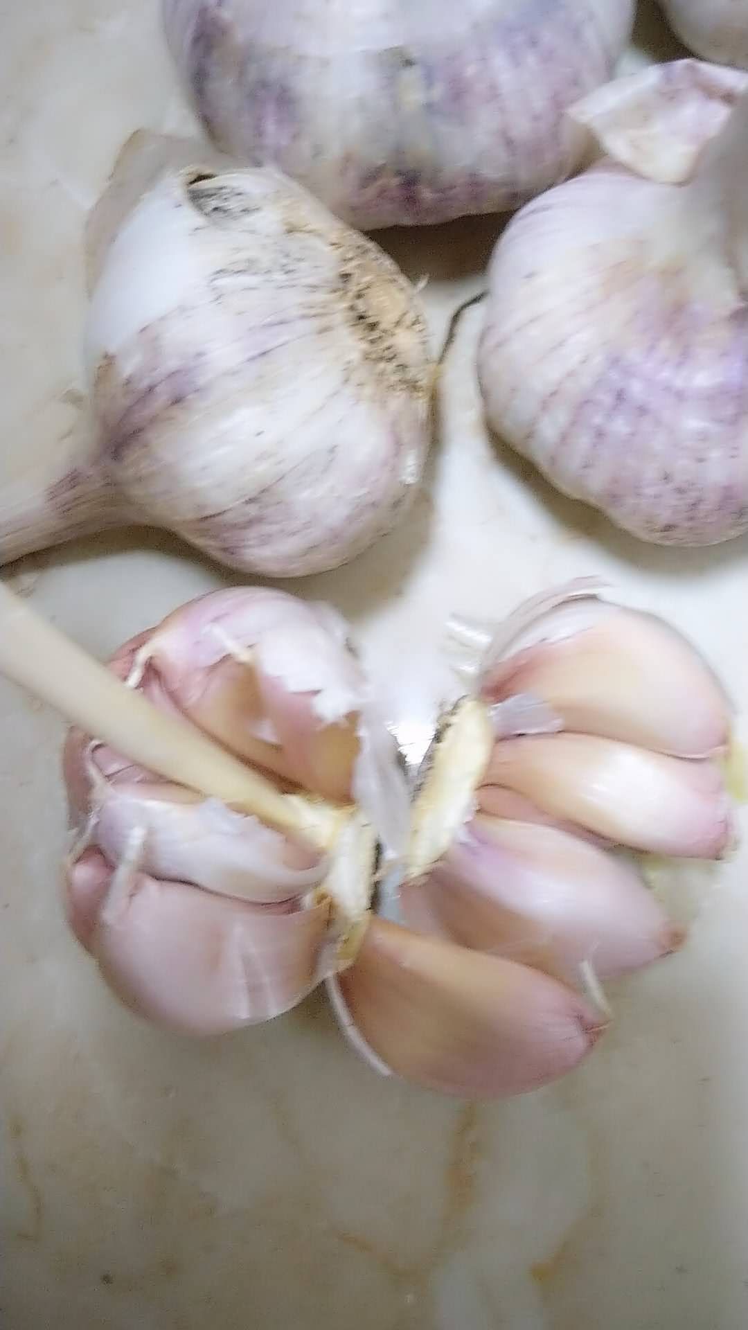 大蒜种子 高产优质大蒜，