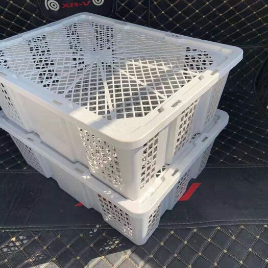 重庆市一次框 桂圆框 龙眼框 带盖一次性框