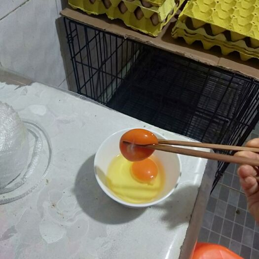安顺 贵州安顺散养生态土鸡蛋，小时候的味道
