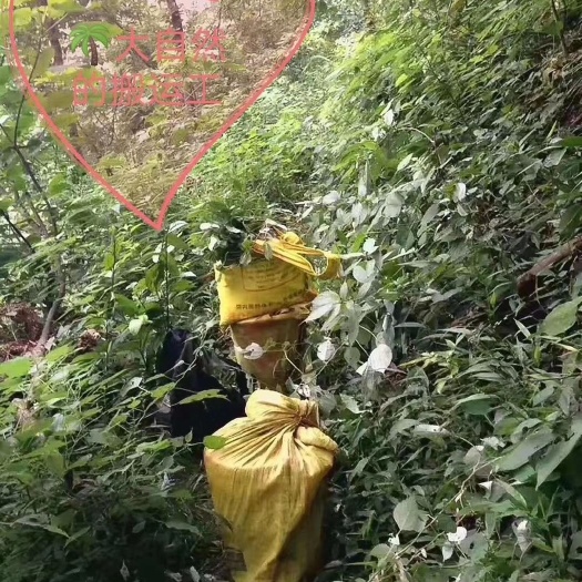武宁县 土家百花蜜 两年以上