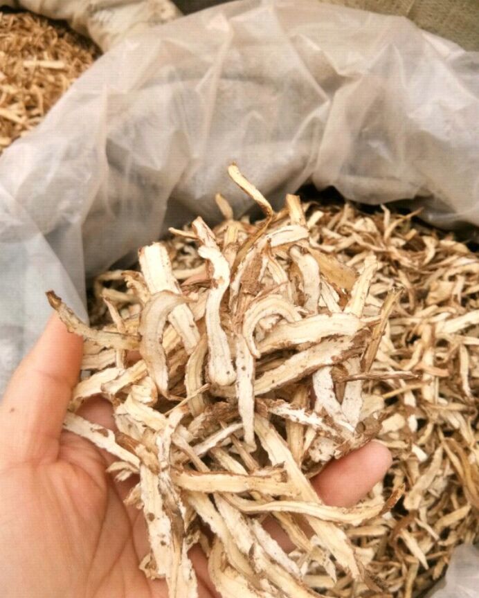 岷当归  当归甘肃 全当归~中节无硫正品  当归黄芪党参泡茶