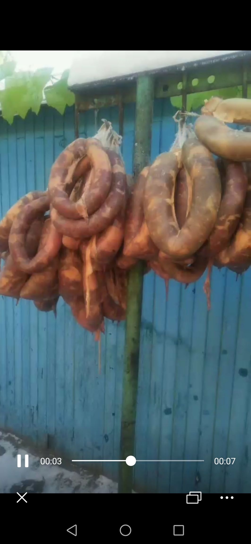 马肉肠子 新疆特产马肠子