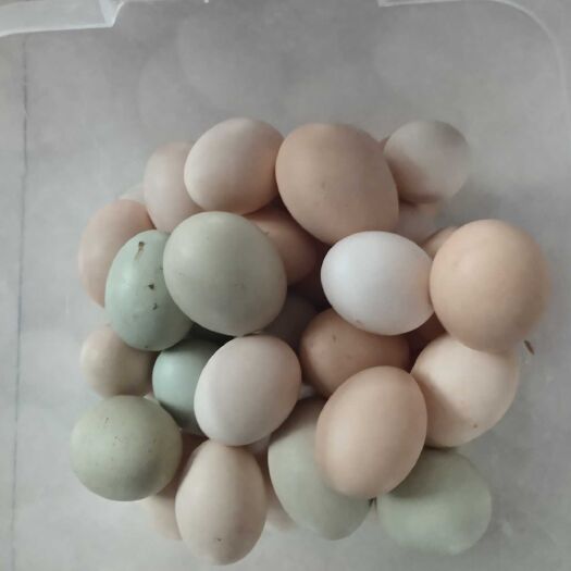 上高县 农村土鸡蛋，纯稻谷，有机蔬菜叶喂养