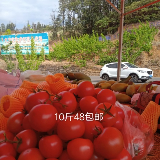 米易县圣女果   露天西红柿 10斤带箱48包邮樱桃小番茄