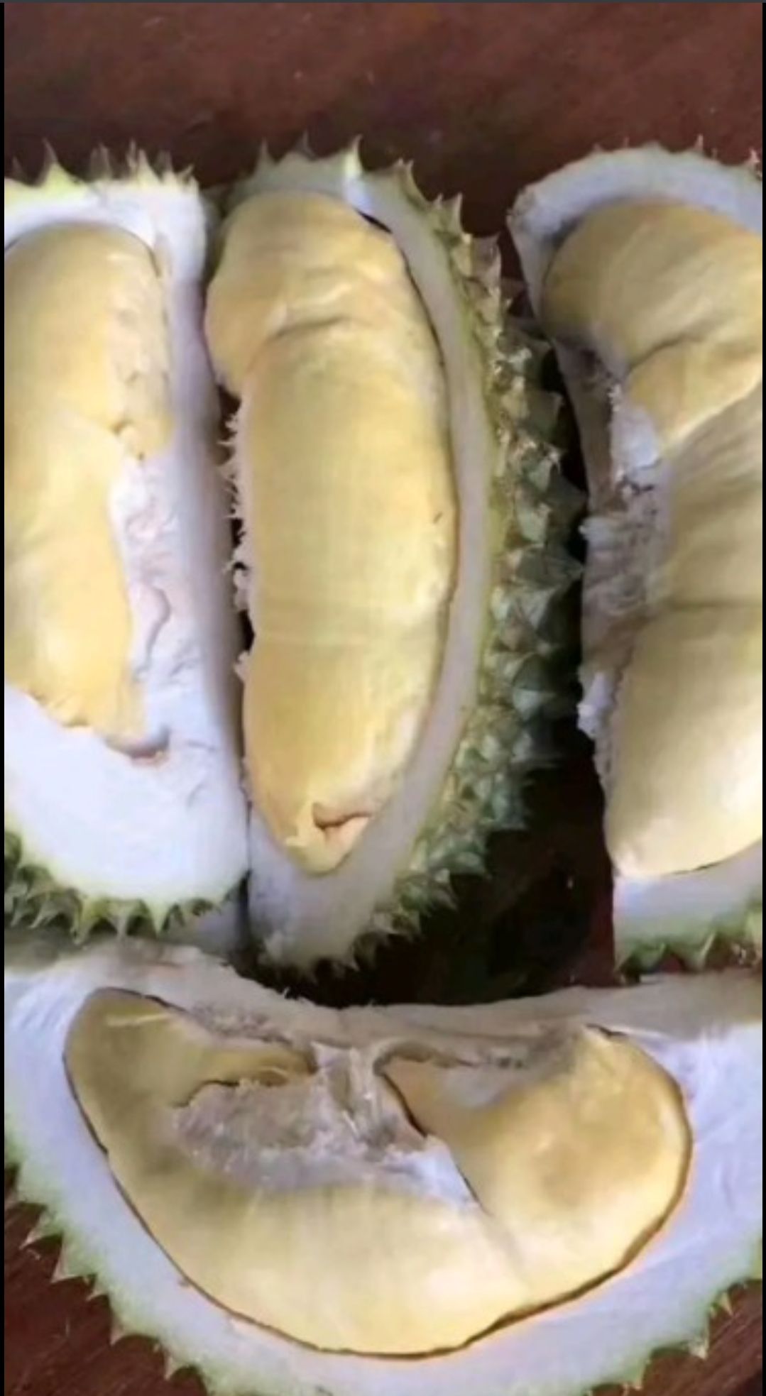  榴莲