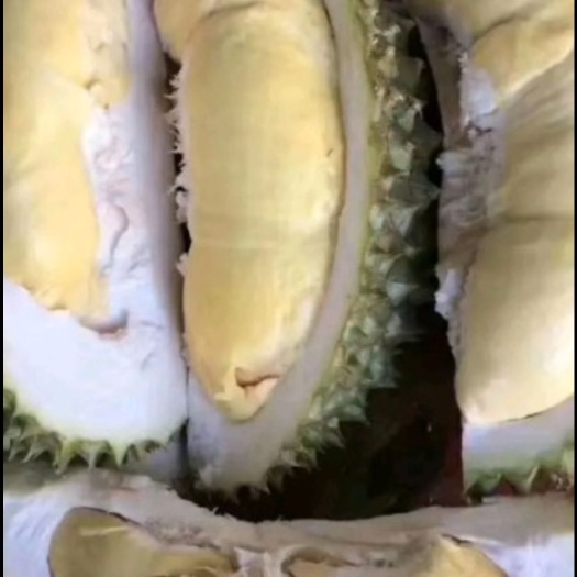 宿迁 榴莲