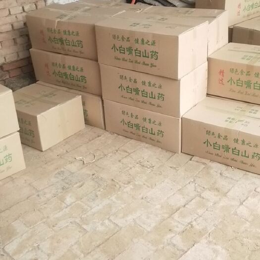 小白嘴山药  铁杆山药小白嘴一等品大量供应，货源充足稳定