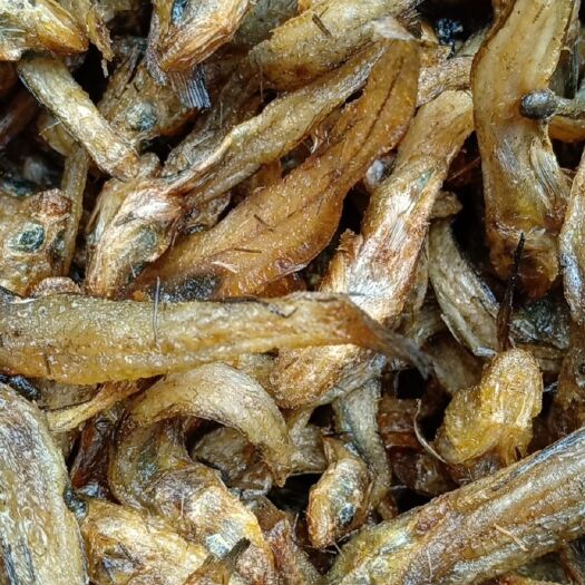 上饶油炸小鱼干不包邮新货上市