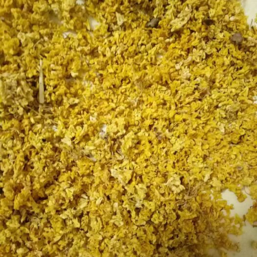 桂花茶  桂花干