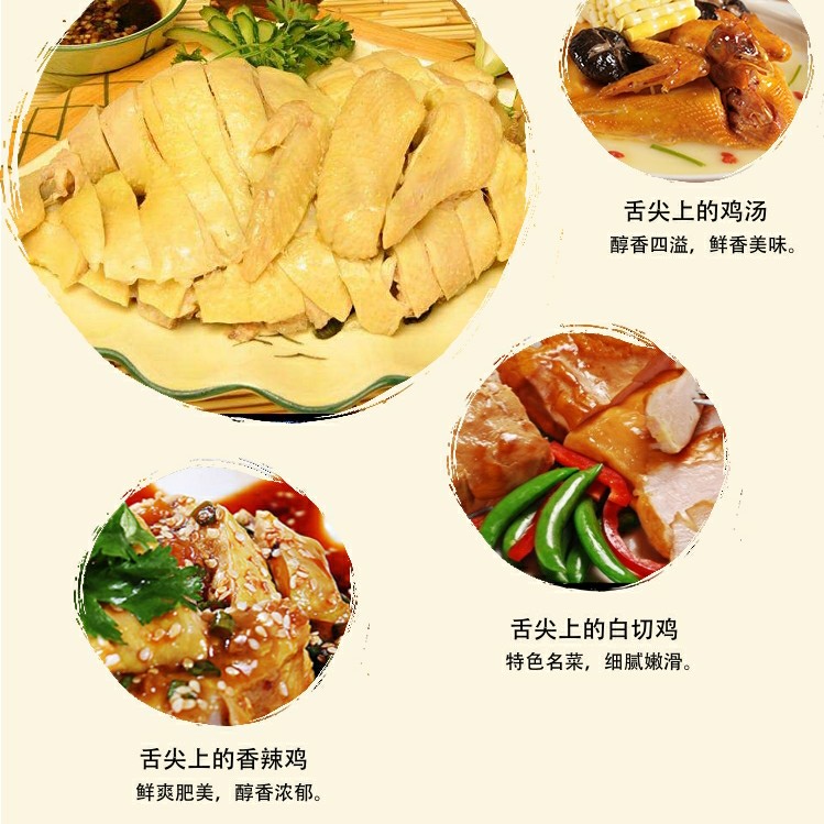  三黄鸡 肉鸡 土鸡
