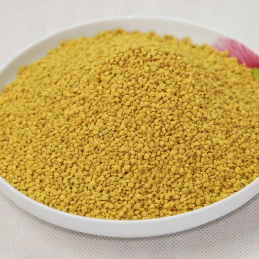 洞口县 自产天然油菜花粉