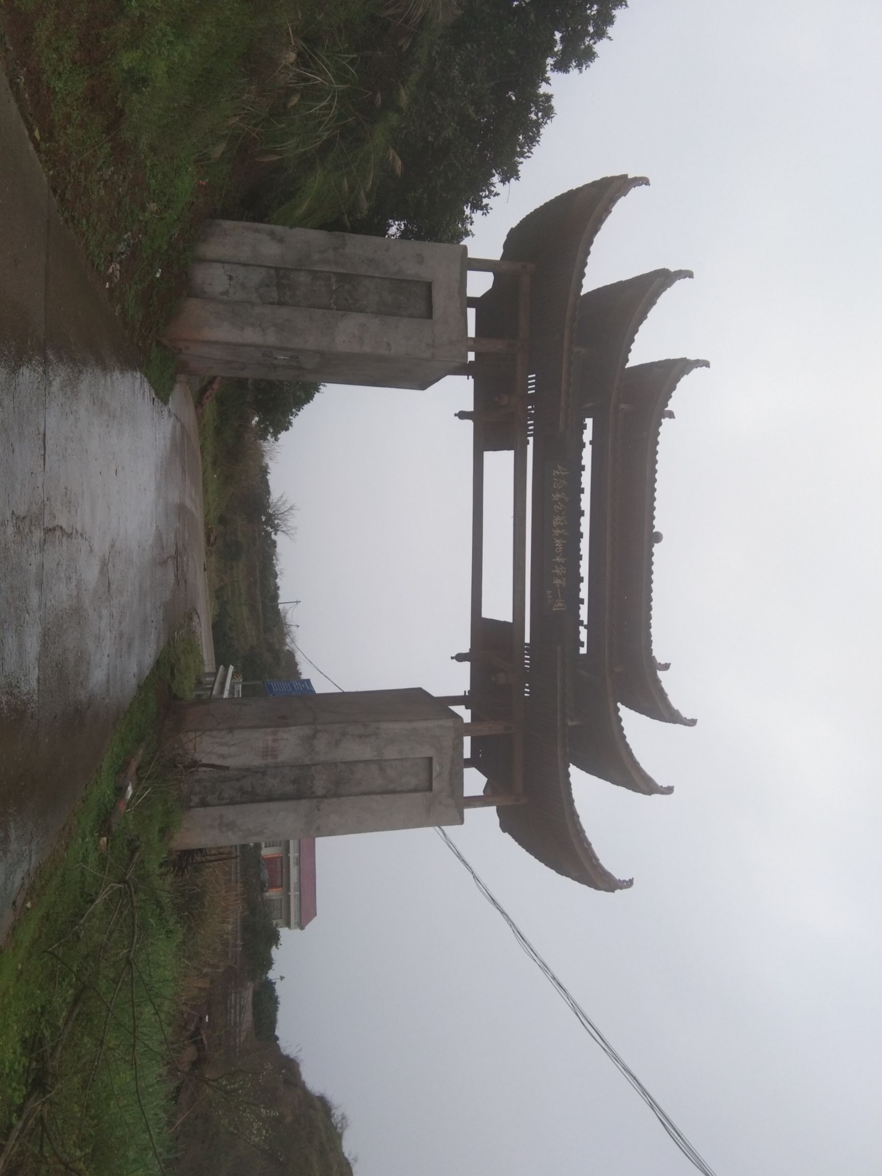  三黄鸡 肉鸡 土鸡