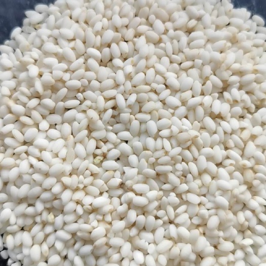 佳木斯 陈粮糯米