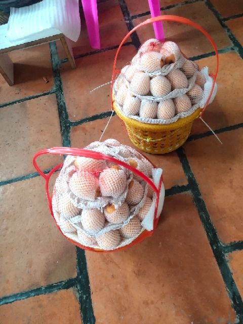 云霄县 云霄枇杷