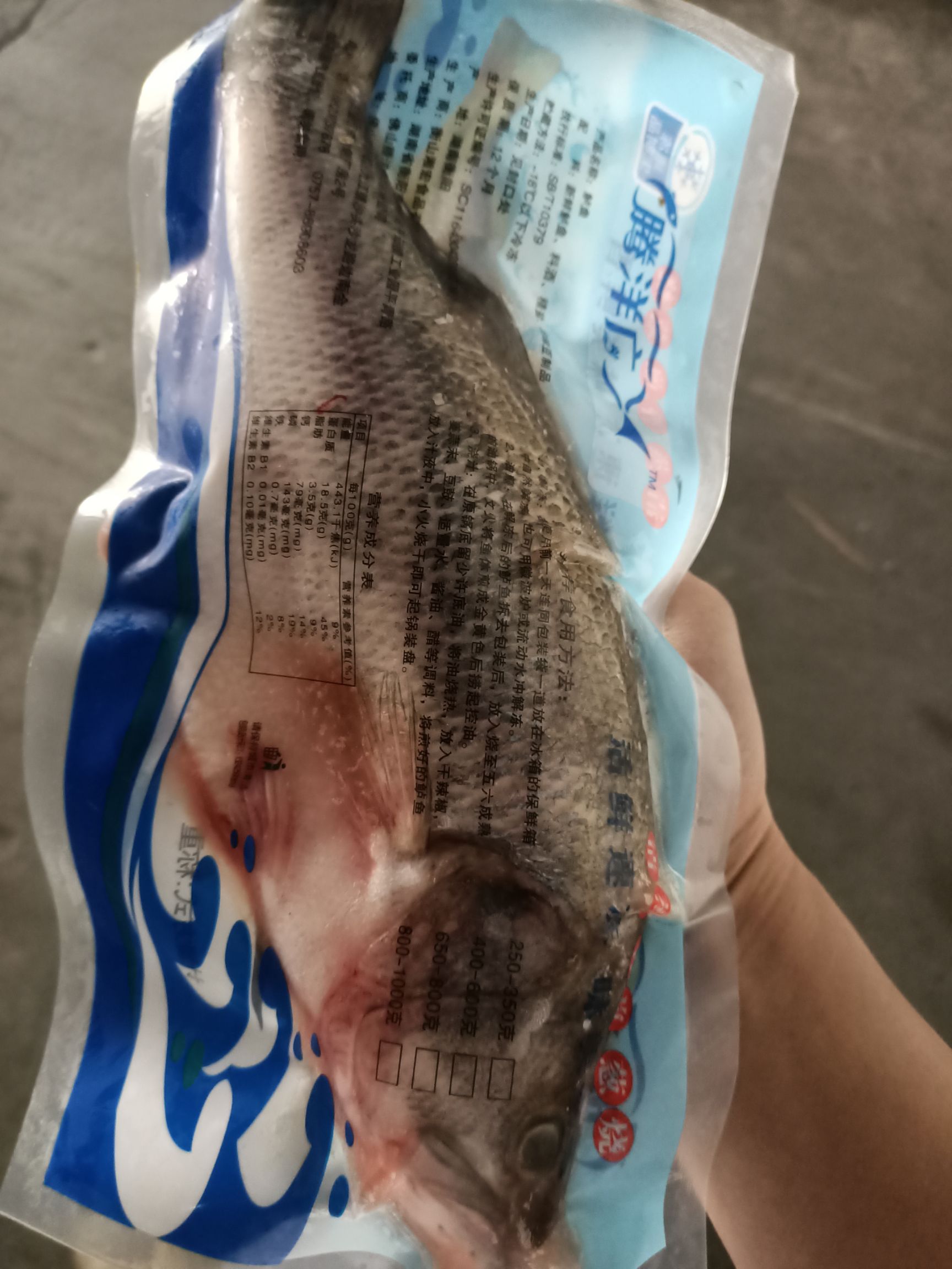 加州鲈鱼  鲈鱼