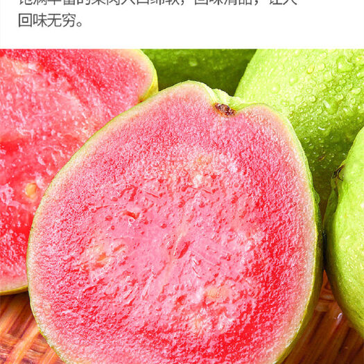 普宁市红心芭乐番石榴苗 四季，西瓜红番石榴