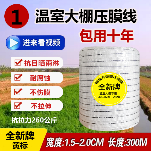 建德市 压膜绳温室大棚压膜带