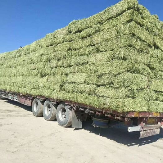 玉门市 优质高原国产紫花苜蓿