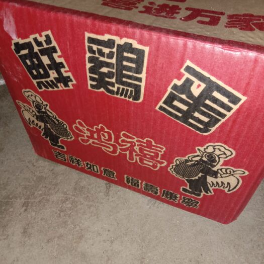 社旗县普通鸡蛋 食用 箱装