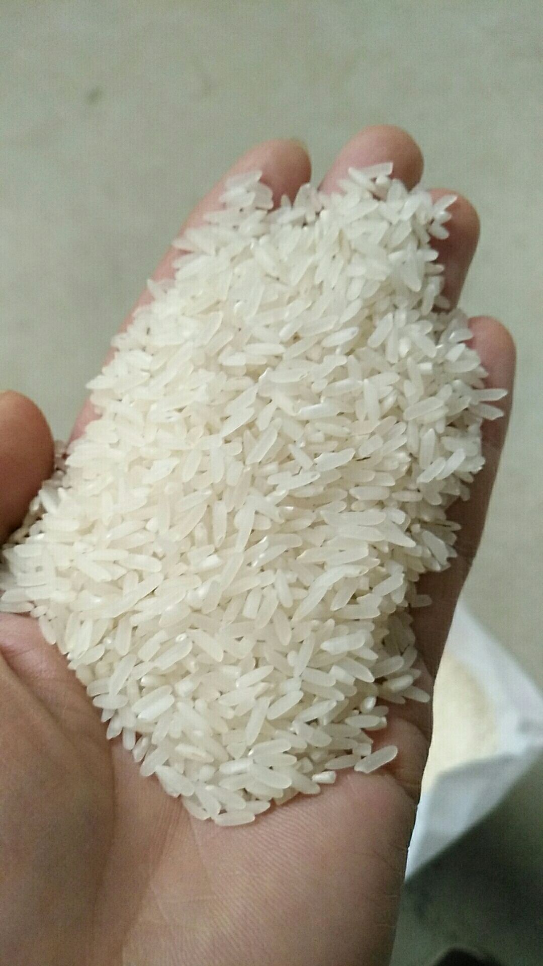 长粒香  粒粒香