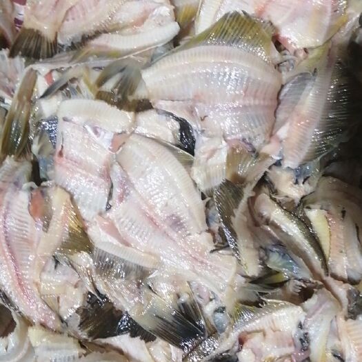 庄河市沙里钻鱼 一手饲料鱼