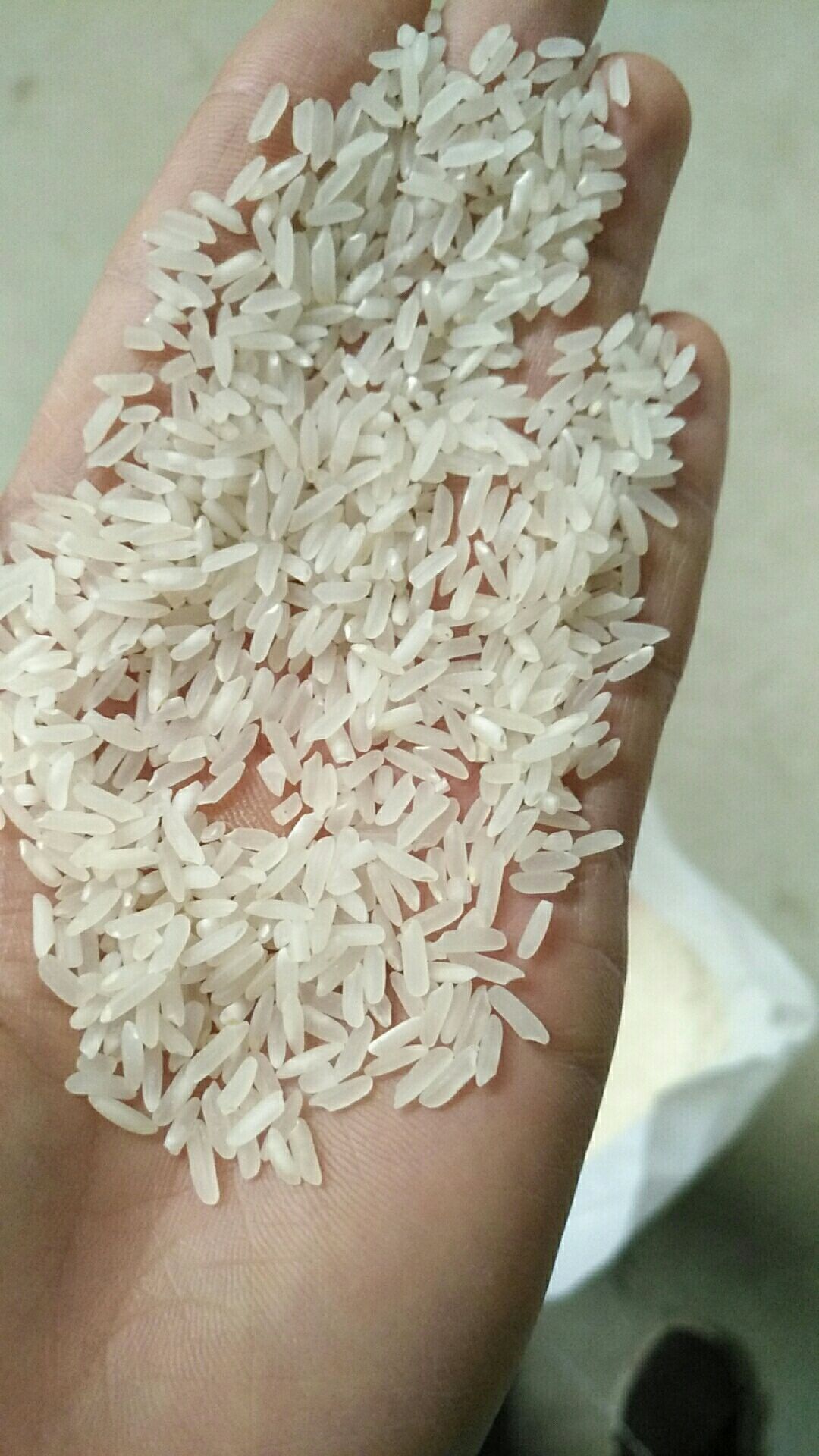 长粒香  粒粒香