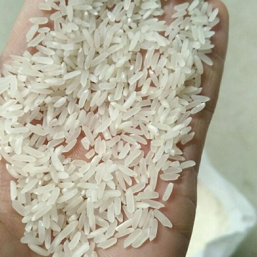 贵港长粒香  粒粒香
