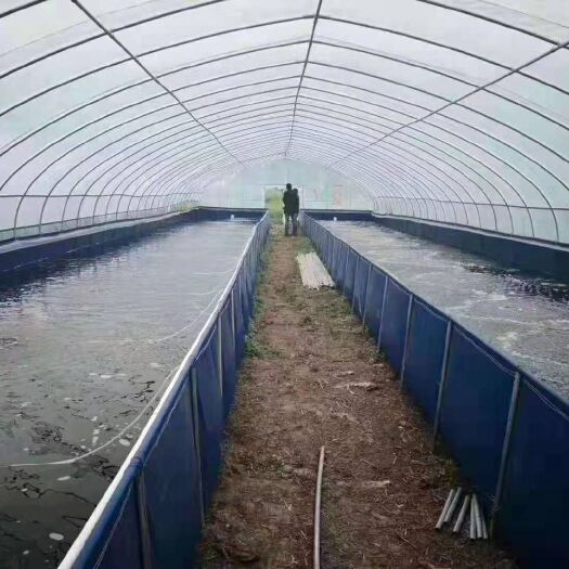 苏州养殖大棚 各种规格养殖棚定制