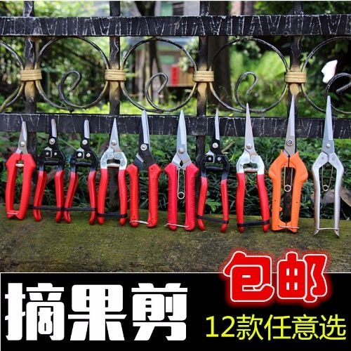 修枝剪刀 葡萄剪刀采果剪柑橘剪桔子剪蔬果剪修枝摘果剪果园果树