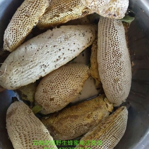 景谷县 云南纯蜂蜜