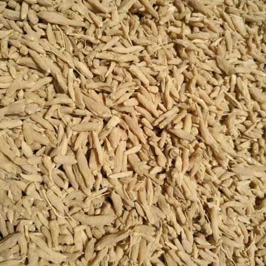 曹县麦冬  量大质量保证