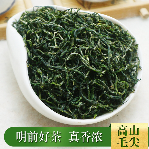 桂阳县云雾毛尖 门前好茶