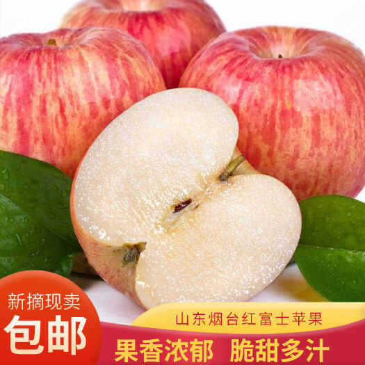 烟台红富士苹果  【脆甜多汁】山东烟台红富士脆甜苹果当季新鲜