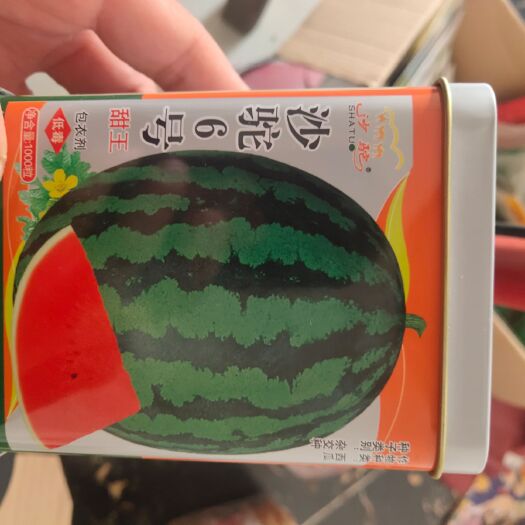 扶沟县甜王西瓜种子 甜王~沙驼6号.懒汉含糖量高，大果，耐重茬，耐