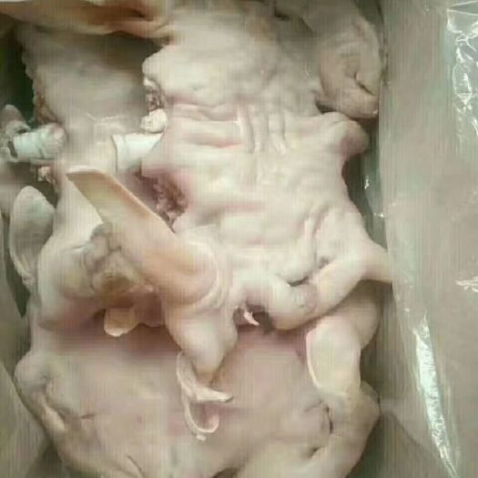 中牟县羊头