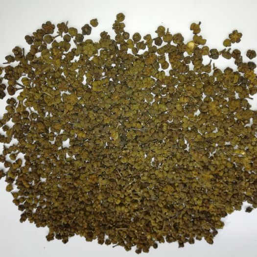 罗城县 优质广西中花吴茱萸，质检合格，无农药残留