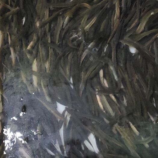 武宣县泥鳅 泥秋40-50条一斤