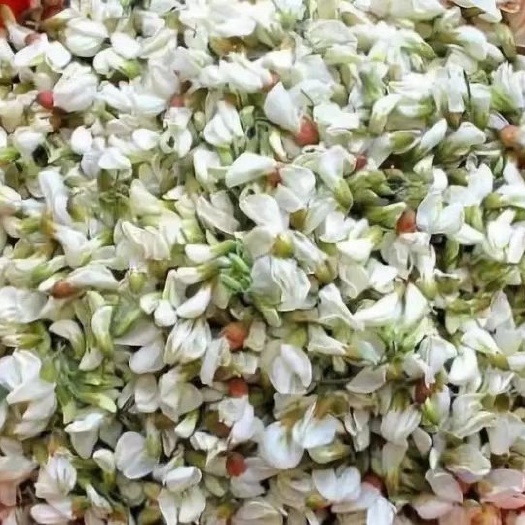郑州槐花