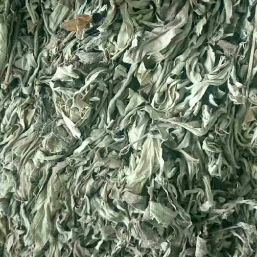 思南县纯艾叶