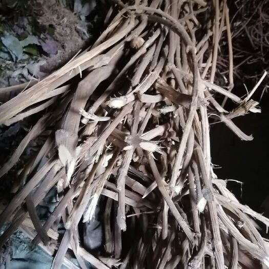 巫山木通 天然巫山深山老林木桶，